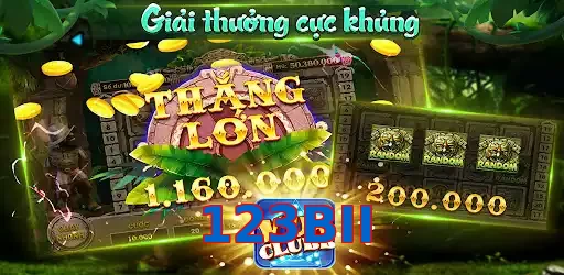 123BII